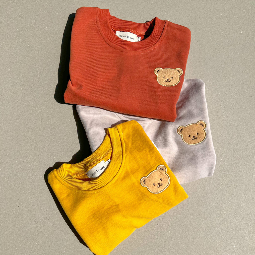 Kid's Bear sweatshirt and joggers pants set
